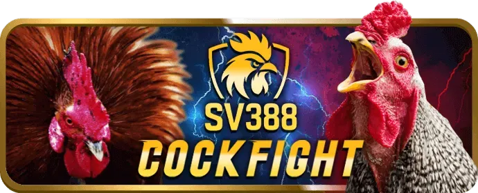 Bắt đầu chơi và thắng lớn